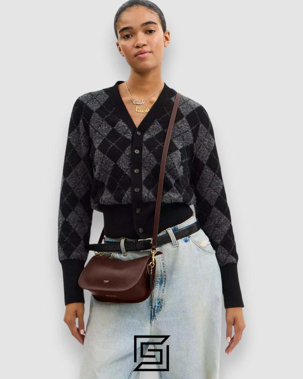 Coach Waverly Bag in Natural Grain Leather Brown – CCC36
